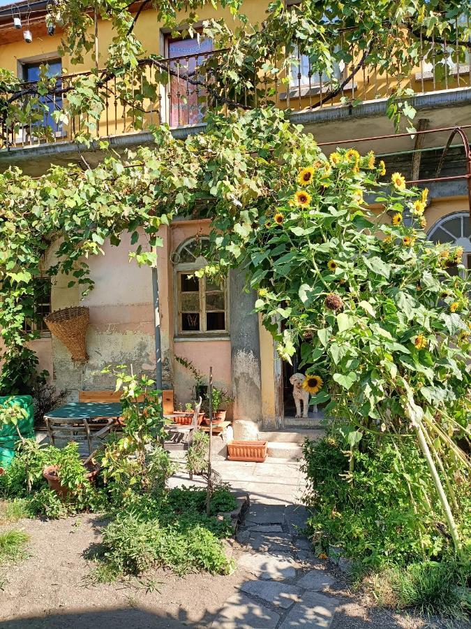 Muggio La Capinera Bed & Breakfast エクステリア 写真